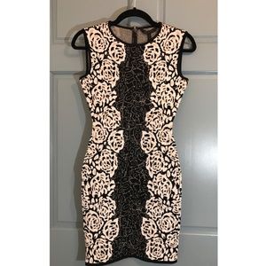 NWT BCBGMAXAZRIA Jose Bodycon Dress